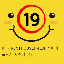 [미국 PENTHOUSE] 시크릿 사이버 플릭커 (오렌지) (6)