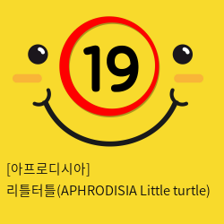 [아프로디시아] 리틀터틀(APHRODISIA Little turtle)